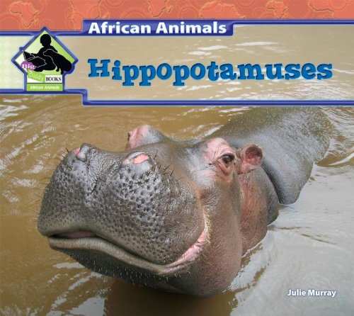 Hippopotamuses by Julie Murray
