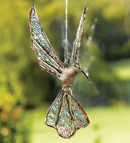 

Glass Winged Hummingbird