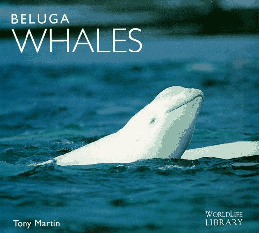 Beluga Whales (WorldLife Library Series) by Tony Martin
