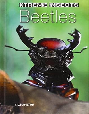 Beetles