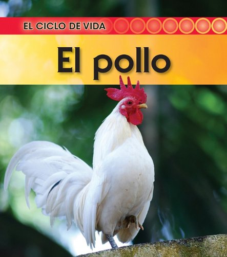 El pollo (El Ciclo De Vida / Life Cycle of a. . .) (Spanish Edition) by Angela Royston