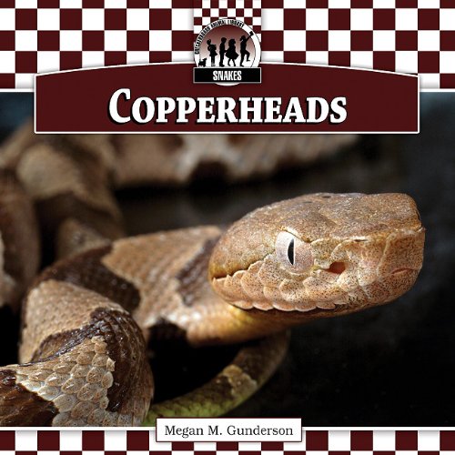 Copperheads by Megan M. Gunderson