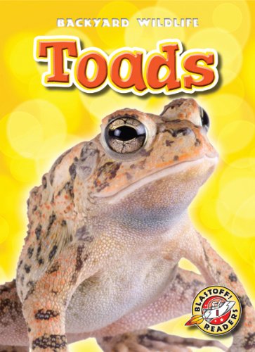 Toads by Kari Schuetz