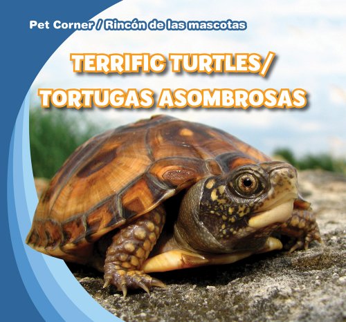 Terrific Turtles / Tortugas Asombrosas by Rose Carraway
