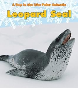 Leopard Seal