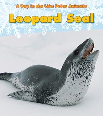 Leopard Seal