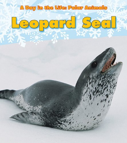 Leopard Seal by Katie Marsico