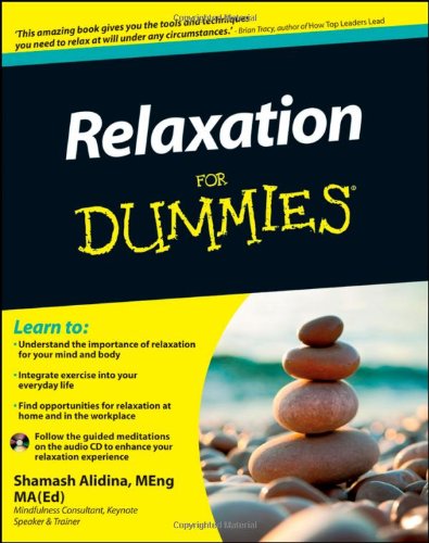 Relaxation For Dummies by Shamash Alidina