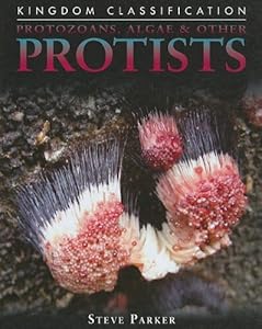 Protozoans, Algae &amp; Other Protists