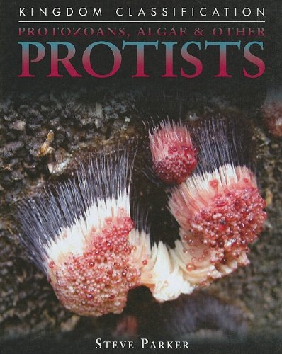 Protozoans, Algae &amp; Other Protists by Steve Parker
