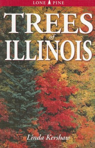 Trees Of Illinois by Linda Kershaw