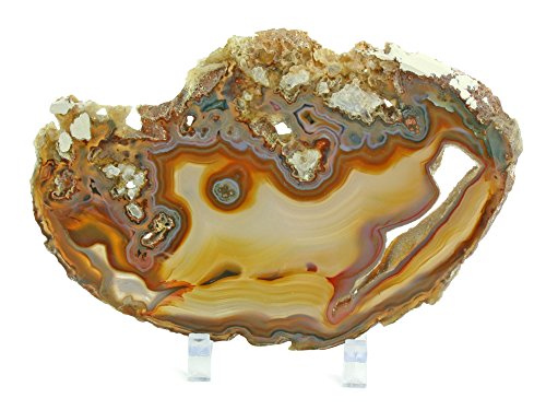 Algopix Similar Product 9 - Popular Polished Agate Slab from Brazil