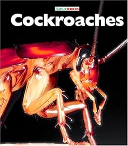 Cockroaches