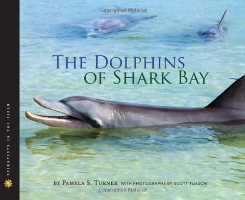 The Dolphins of Shark Bay