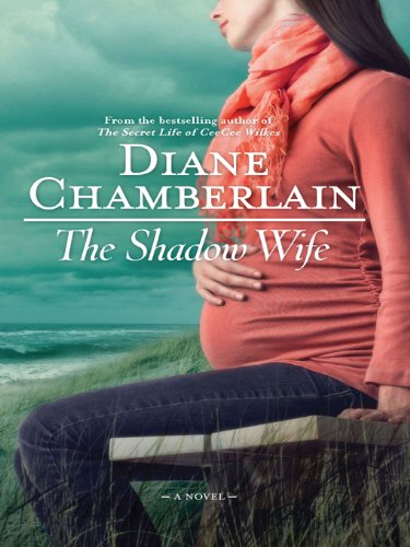 The Shadow Wife by Diane Chamberlain