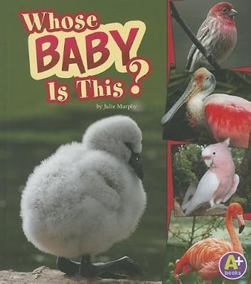 Whose Baby Is This?