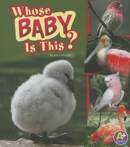 Whose Baby Is This? by Julie Murphy