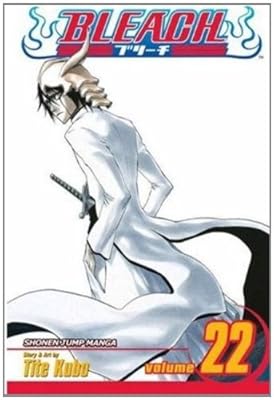 Bleach, Vol. 22