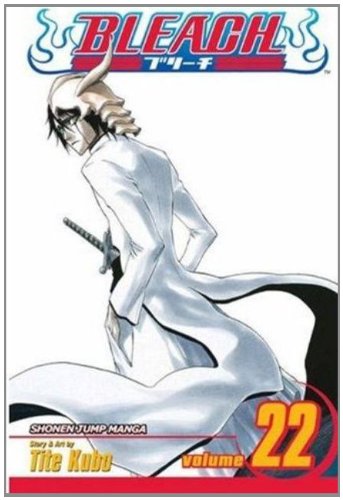 Bleach, Vol. 22 by Tite Kubo