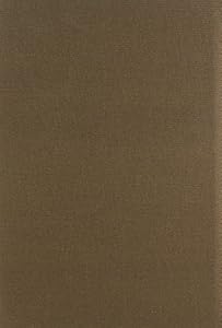 Illegal: Reflections of an Undocumented Immigrant by Jose Angel N.