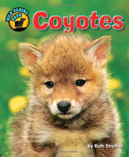 Coyotes by Ruth Strother