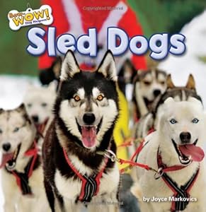 Sled Dogs