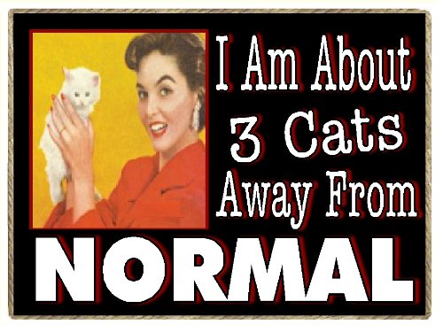 Cat-Gift-Refrigerator Magnet- Three Cats Away From Normal-Funny Retro