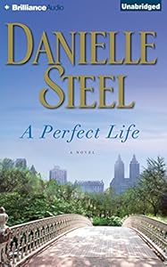A Perfect Life: A Novel