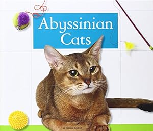 Abyssinian Cats