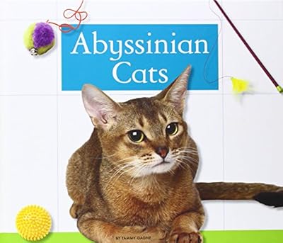 Abyssinian Cats