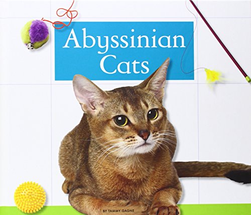 Abyssinian Cats by Tammy Gagne