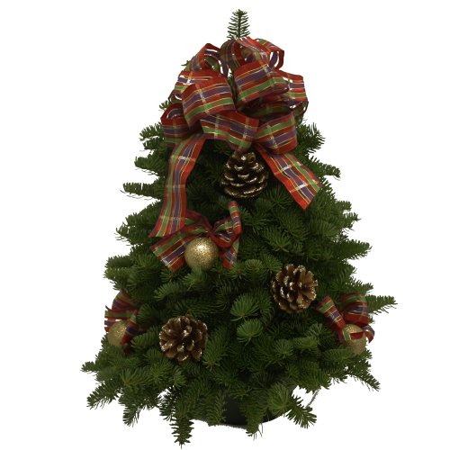 Algopix Similar Product 19 - Worcester Wreath 18Inch Jeweled Ribbon