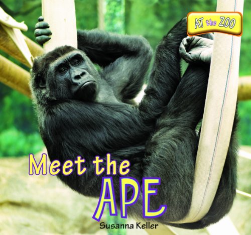 Meet the Ape (At the Zoo) by Susanna Keller
