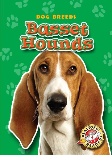 Basset Hounds by Sara Green