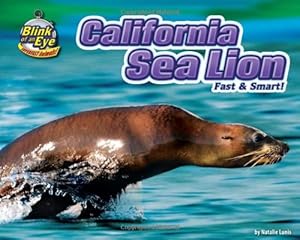 California Sea Lion: Fast &amp; Smart!