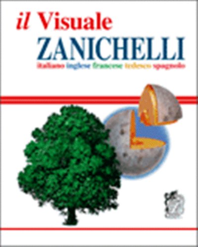 Visual Dictionary in English and Italian : Dizzionario Visuale Inglese e Italiano (English and Italian Edition) by Jean-Claude Corbeil