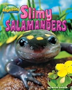 Slimy Salamanders