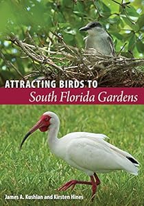Attracting Birds to South Florida Gardens