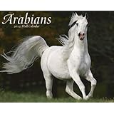 Arabians 2012 Calendar