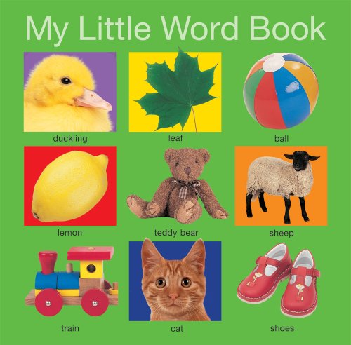 My Little Word Book by Roger Priddy