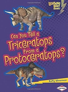 Can you tell a triceratops from a protoceratops?