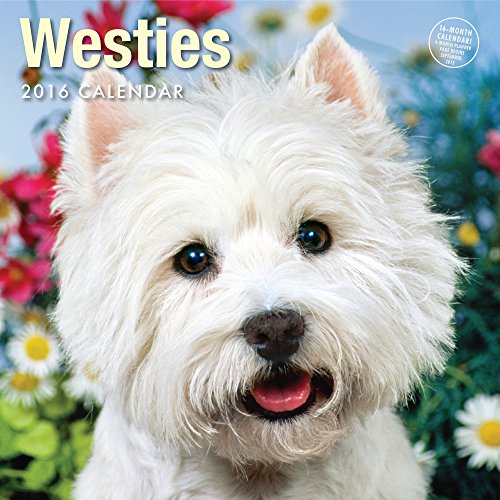 2016 Westies Calendar