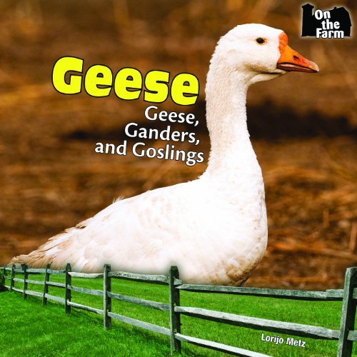 Geese: Geese, Ganders, and Goslings by Lorijo Metz