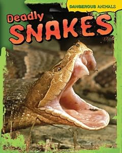 Deadly Snakes