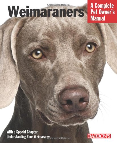 Weimaraners by Susan Fox