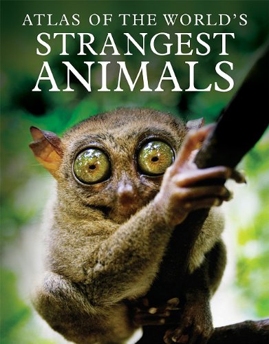 Atlas of the World's Strangest Animals by Paula Hammond