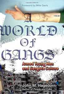 A World of Gangs: Armed Young Men and Gangsta Culture (Globalization and Community)
