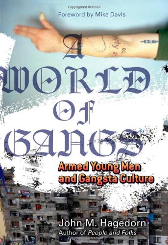 A World of Gangs: Armed Young Men and Gangsta Culture (Globalization and Community) by Mike Davis
