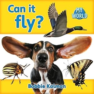 Can It Fly? (Bobbie Kalman's Leveled Readers: My World: C)