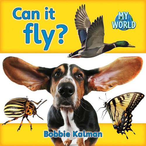 Can It Fly? (Bobbie Kalman's Leveled Readers: My World: C) by Bobbie Kalman